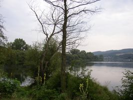 Vltava 10-14 ú.n.Slapy-Zrůbek 17.8.05 (1).jpg